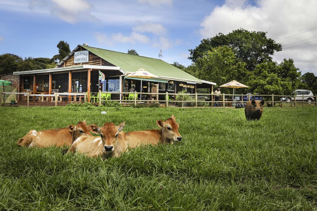 Natures Way Farm Cottage The Crags Exterior foto